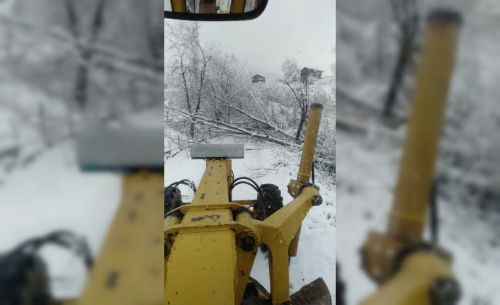 Sinop’ta fırtına ağaç devirdi, yol trafiğe kapandı