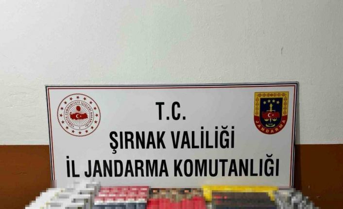 Şırnak’ta 11 şüpheliye işlem yapıldı