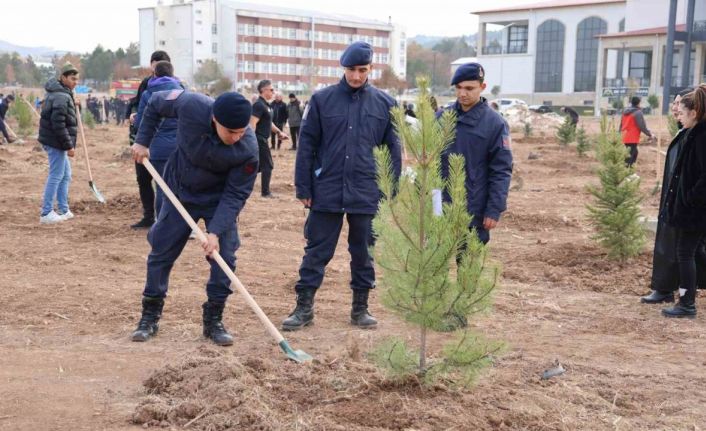 Sivas’ın ormanlık alanı 504 bin dekara yükseldi