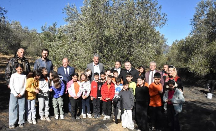 Tarladan sofraya zeytinyağının hikayesi çocuklara anlatıldı