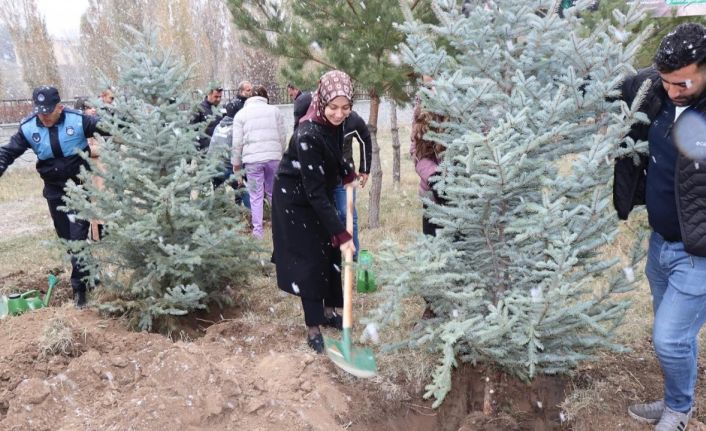 Tercan’da geleceğe nefes için fidan dikildi