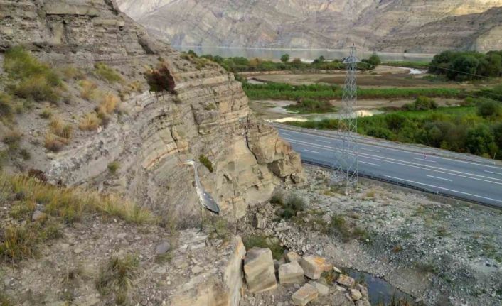 Tortum Gölü yaban hayata ev sahipliği yapıyor