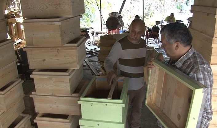 Türkiye’nin arı kovanları Alanya’dan