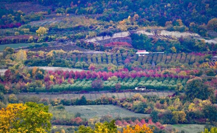 Uludağ’ın eteklerinde müthiş görüntüler