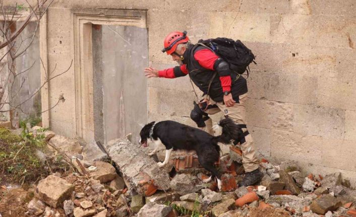 Uluslararası ’Arama Kurtarma Köpekleri Şampiyonası’ Çekmeköy’de yapıldı