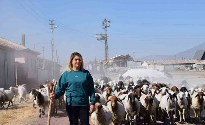 Üniversiteli anne hem koyunlarına hem de kendi kuzusuna bakıyor