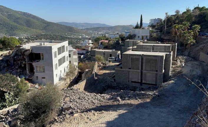 Ünlü sanatçı Suavi’ye Bodrum’da ağaç katliamı cezası