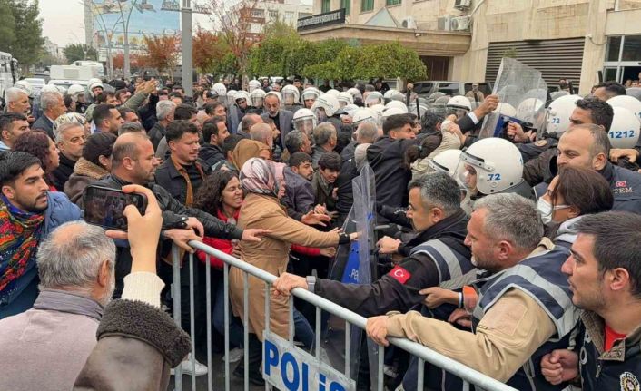 "Vali çık lan buraya" diyen gösterici gözaltına alındı