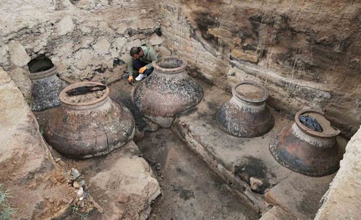 Van’da gerçekleştirilen arkeolojik kazılara Atatürk Üniversitesinden bilimsel katkı