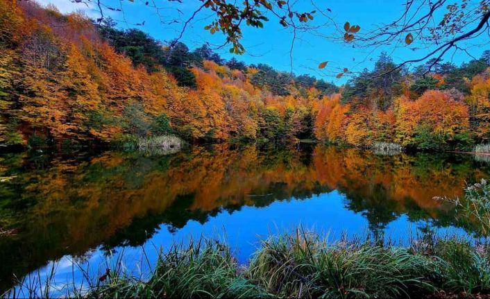 Yalova Kent Ormanı, sonbahar renklerine büründü