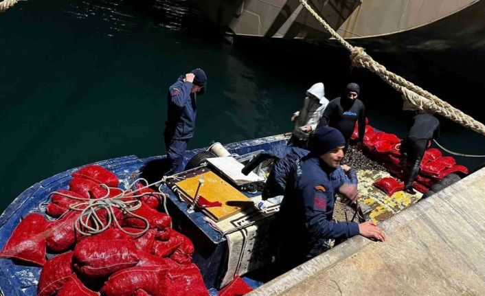 Yalova’da 20 ton kaçak midye ele geçirildi