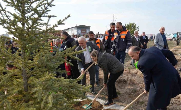 Yaslıkaya: “Kastamonu ormanlarının 23,5’i ağaçlandırmalarla elde edilmiştir”