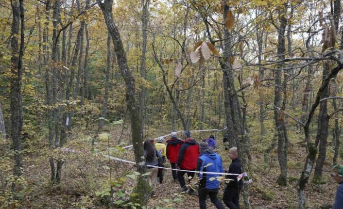 Yenice ormanlarında tepki çeken çevre kirliliği