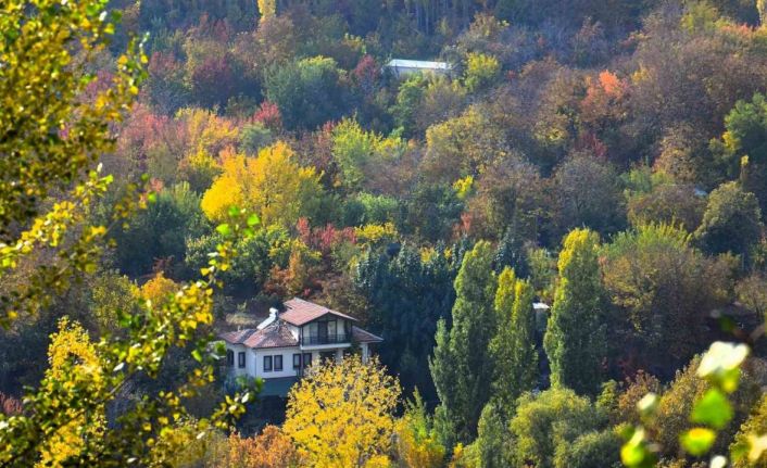 Yeşilyurt’un sonbahar renk cümbüşü, fotoğrafçılara ilham veriyor