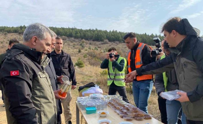 Yozgat Çamlık Bal Ormanı’nda fidanlar toprakla buluştu