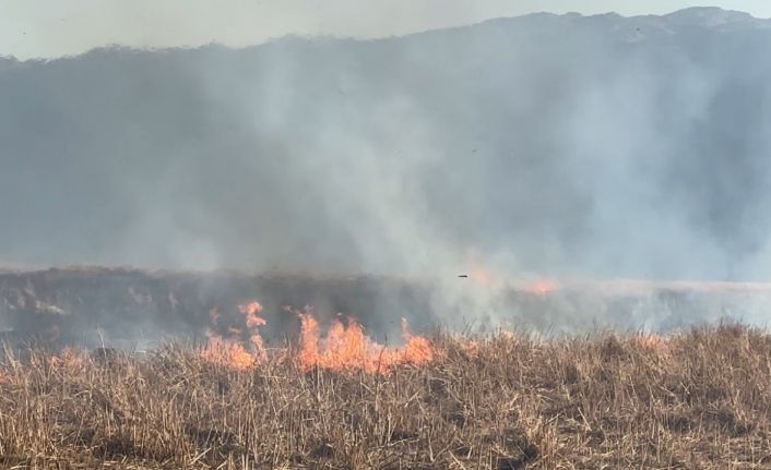 Yüksekova’da onlarca kuş türünün yaşadığı Nehil Sazlığı  yanıyor