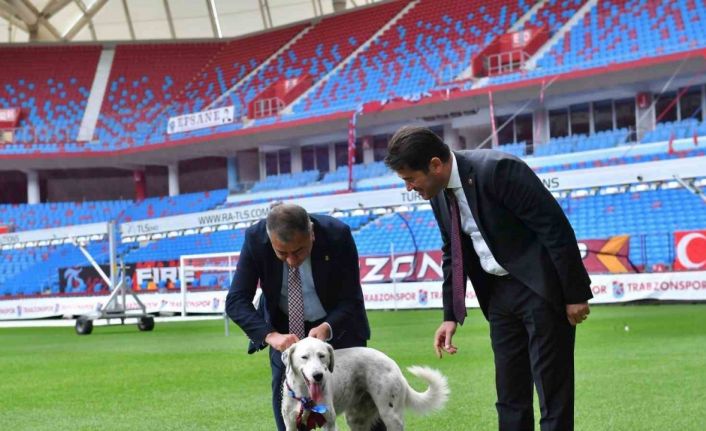 ‘Zibidi’ Trabzonspor’a transfer oldu, ismi ’Fırtına’ olarak değişti