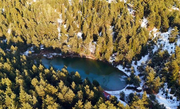 Zigana’nın beyaz cenneti Limni Gölü 150 bin turisti ağırladı