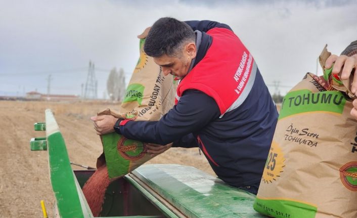 300 ton buğday ekimi gerçekleştirildi