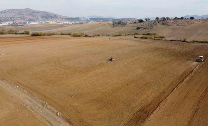 Adana’da buğday taneleri toprakla buluştu