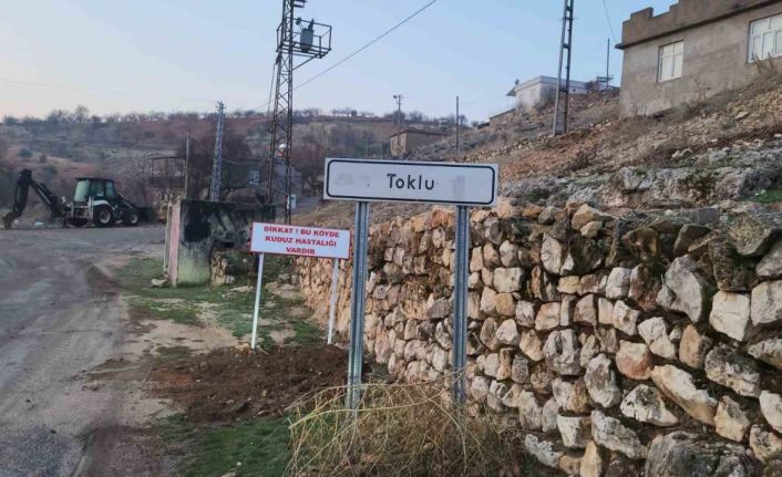 Adıyaman’da çocuğa saldıran köpek kuduz çıktı, köy karantinaya alındı