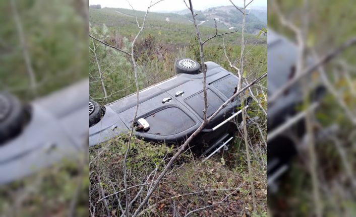 Ağaçlık alana uçan hafif ticari aracın sürücüsü yaralandı