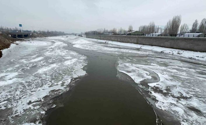 Ağrı’da dondurucu soğuklar nedeniyle Murat Nehri buz tuttu