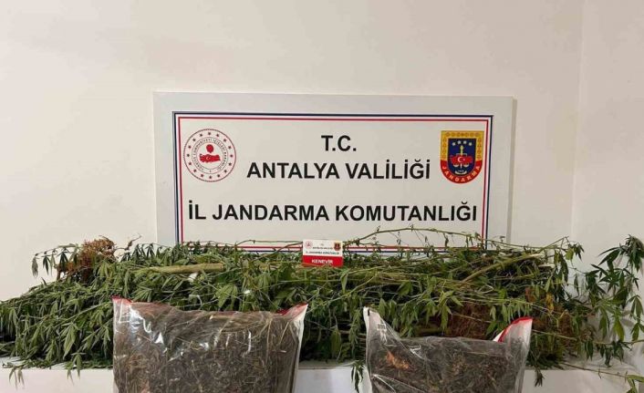 Alanya’da narkotik operasyonları