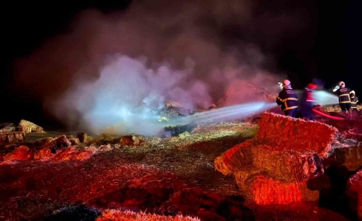 Alevlere teslim olan 500 saman balyası kül oldu