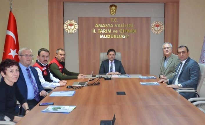 Amasya’da Kahverengi Kokarca zararlısı ile mücadele tedbirleri masaya yatırıldı