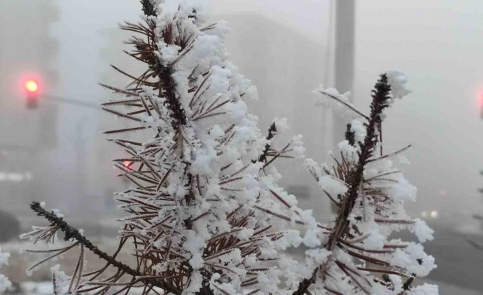 Ardahan’da soğuk hava ve sis hayatı olumsuz etkiliyor