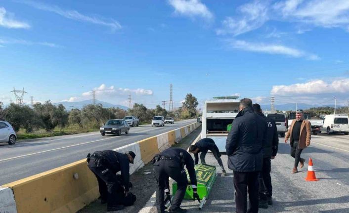 Aydın’da trafik kazası: 1 ölü