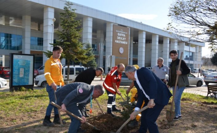 Bafra Devlet Hastanesi’nde fidan dikim etkinliği