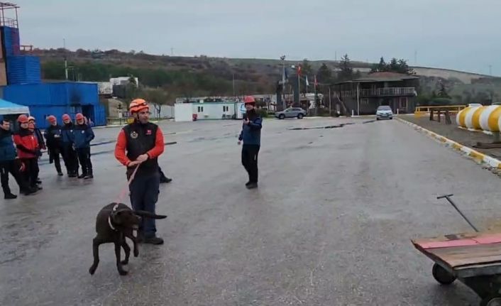 Balıkesir itfaiyesi eğitimlerle güçleniyor