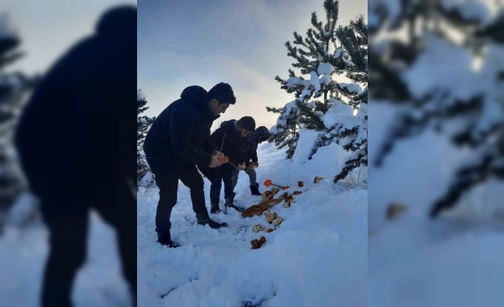 Bayburt’ta öğrenciler hayvanlar için doğaya yiyecek bıraktı