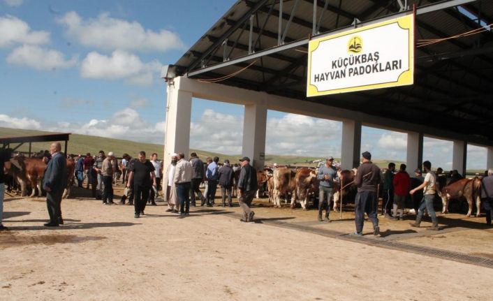 Bayburt’taki hayvan pazarlarında şap karantinası