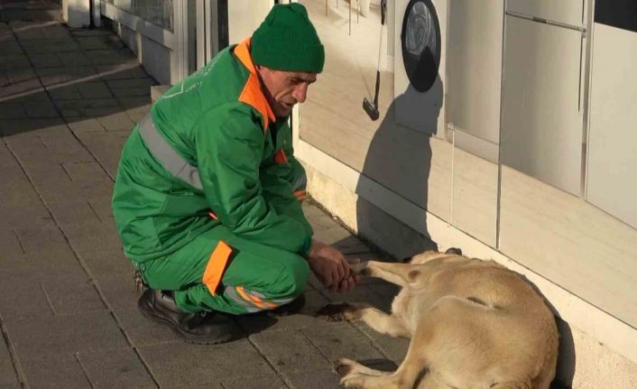 Belediye çalışanının köpekle keyifli vakit geçirmesi içleri ısıttı