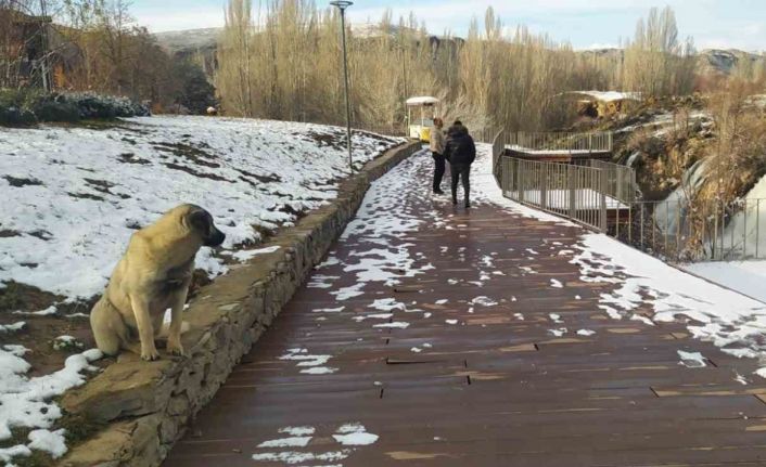 Beyaz gelinliğini giyen Muradiye Şelalesi ziyaretçilerini bekliyor