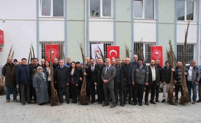 Bozüyük’te çiftçilere meyve fidanı dağıtıldı