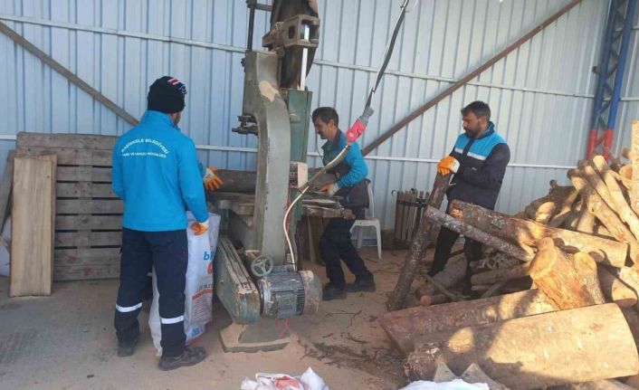 Budanan ağaçlar, dar gelirli ailelere yakacak oluyor