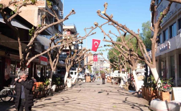 Büyükşehir İncirliova’da ağaçları budadı, vatandaşlar rahat bir nefes aldı