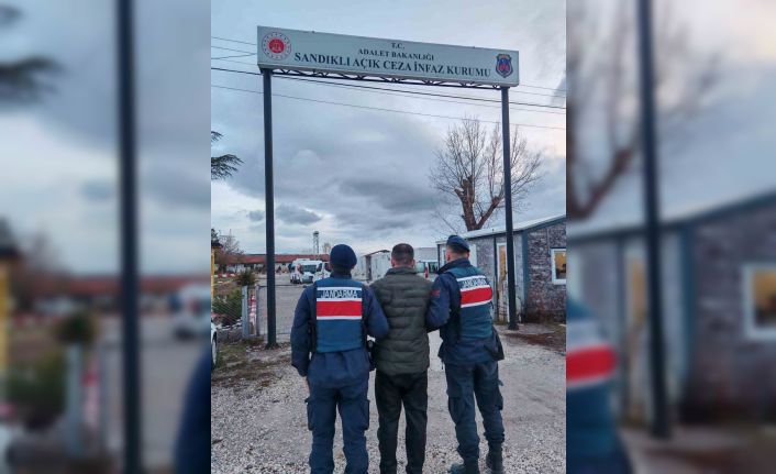 Çeşitli suçlardan aranan 2 şahıs jandarma tarafından yakalandı