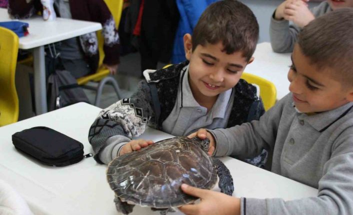 Çocuklar deniz canlılarını öğreniyor