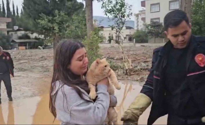 Dalda mahsur kalan kedisi kurtarılınca sevinçten gözyaşı döktü