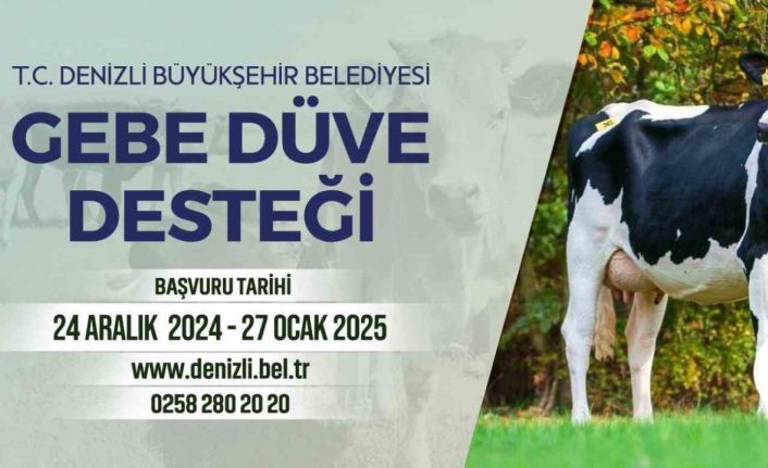 Denizli Büyükşehirin köye dönüş projesi başladı