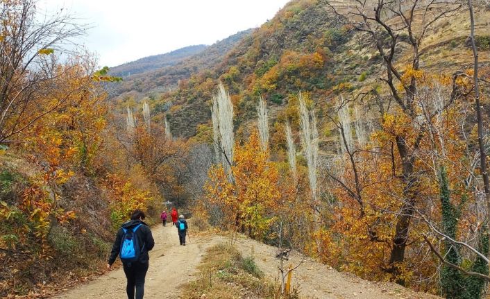 Doğaseverler özgün klima özelliği ile bilinen Koçak Kanyonu’na dikkat çektiler