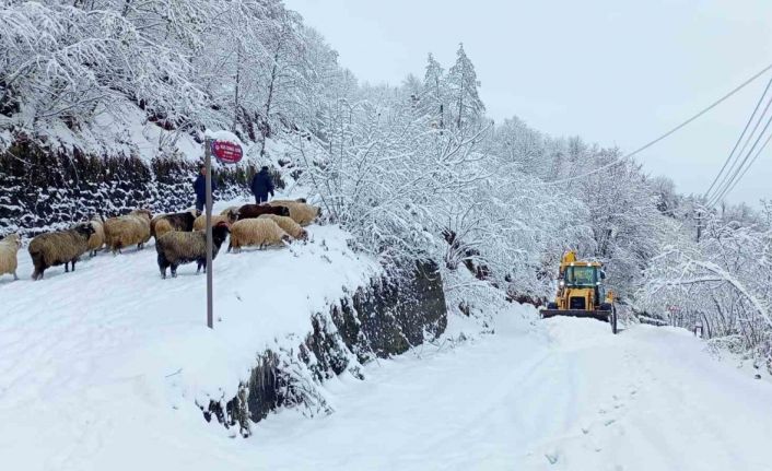 Doğu Karadeniz’de kış