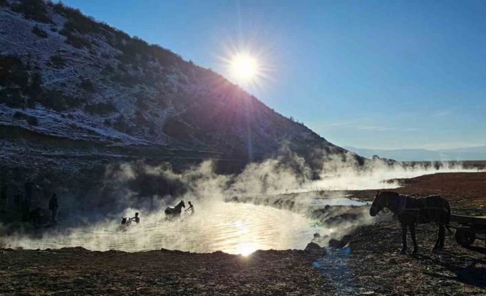 Eksi 15 derecede atların kaplıca keyfi