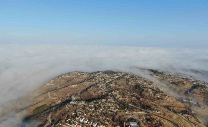 Elazığ’da sis etkili oldu