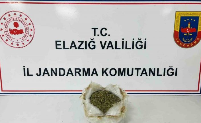 Elazığ’da uyuşturucu ele geçirildi: 1 gözaltı